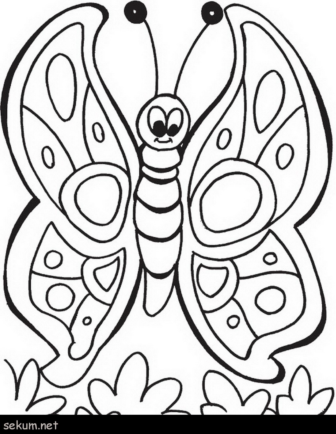 1100x1420 Beautiful Colorado Hairstreak Butterfly Coloring Pages