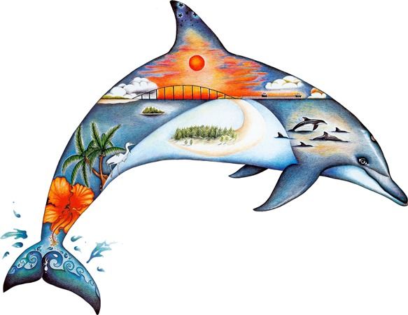 583x450 Dolphin Dream Colored Pencil Drawings In Tropical Artwork