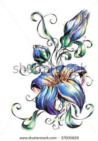 327x470 Colored Pencil Drawings