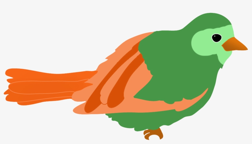 820x469 Colorful Drawings Of Birds