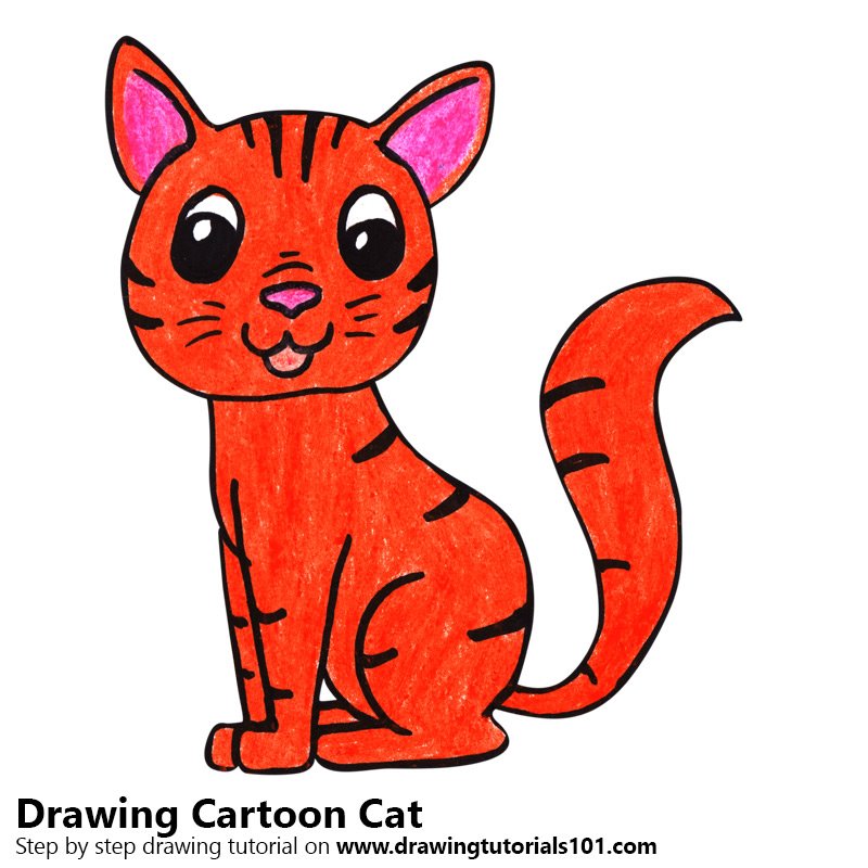 800x800 Cartoon Cat Colored Pencils