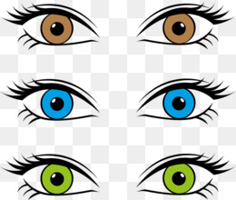 260x220 Color Drawing Png