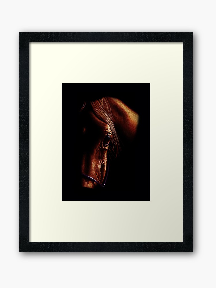 750x1000 The Eye Of The Horse