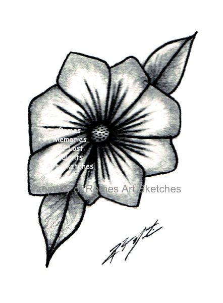 442x600 Drawings In Pencil And In Color Pencil Dawings Of Wizards Single