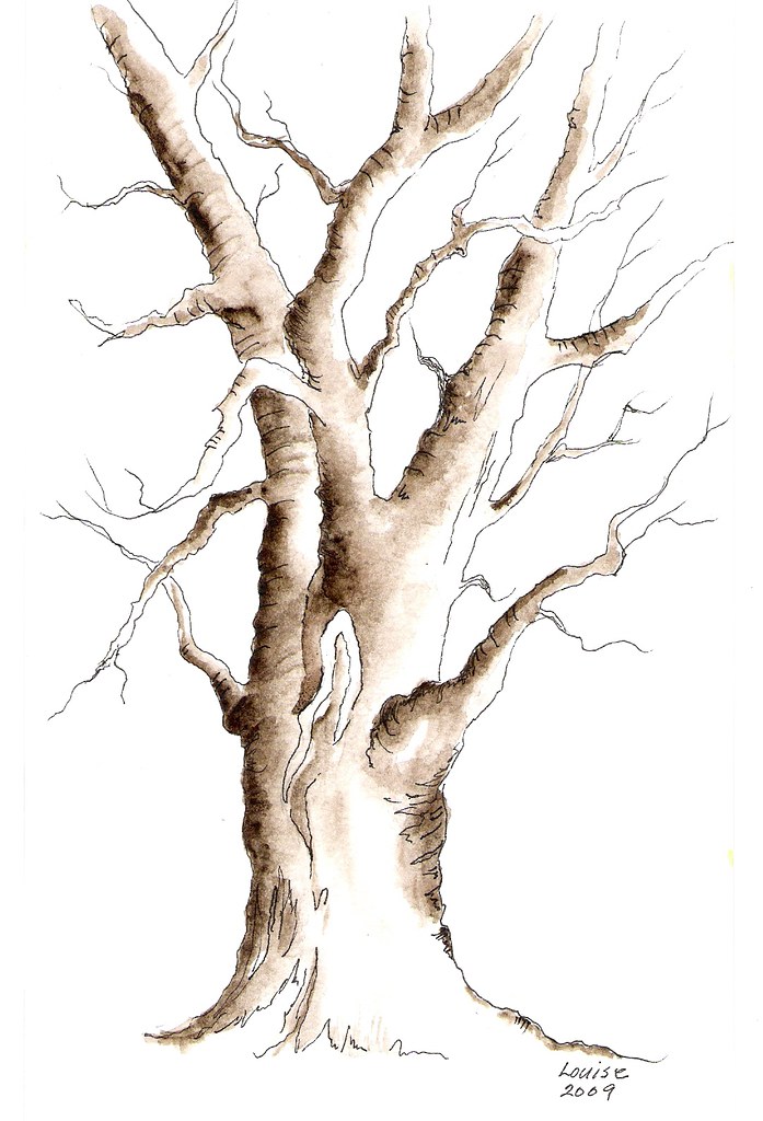 697x1024 One Color Tree Watercolor Ink Watercolor Is W N 'warm S