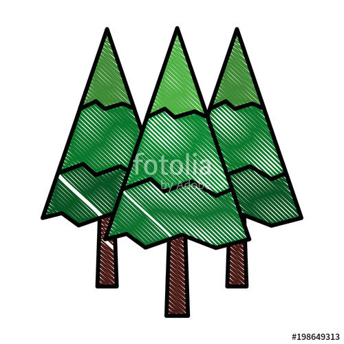500x500 Pine Trees Forest Botanical Natural Flora Vector Illustration