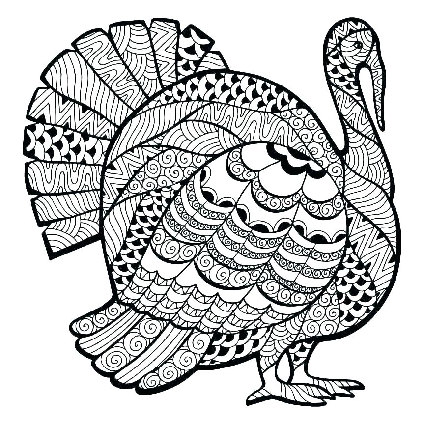 863x863 Printable Turkeys To Color Turkey