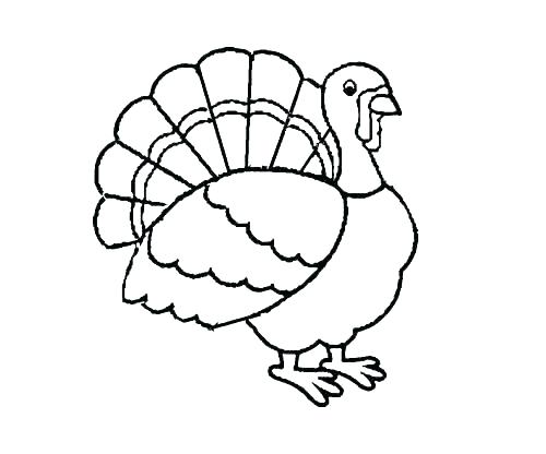 500x416 Turkey Pictures To Color