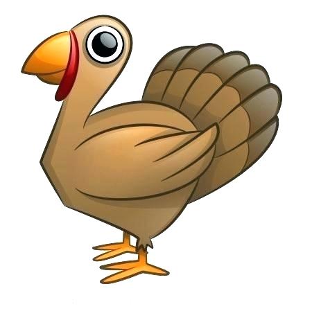 450x472 Brilliant Colored Turkey Tail Photograph