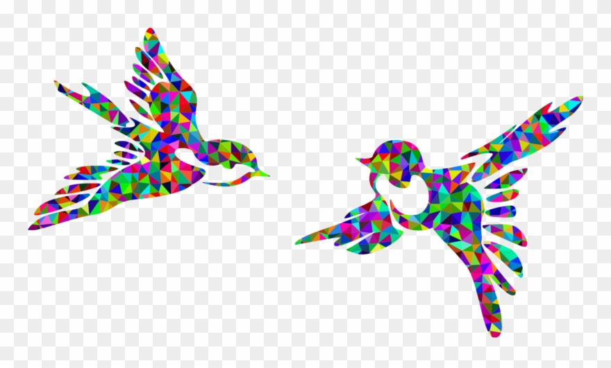 880x531 Bird Silhouette Flight Drawing Animal