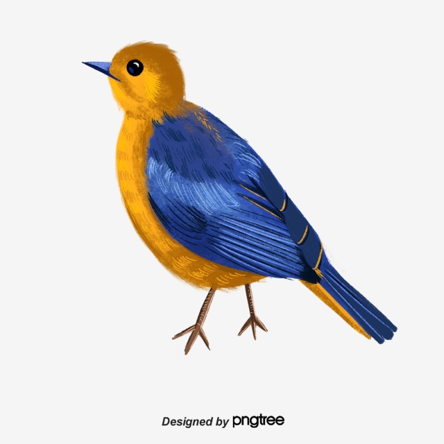 640x640 colorful bird element illustration, animal, poultry, wing png