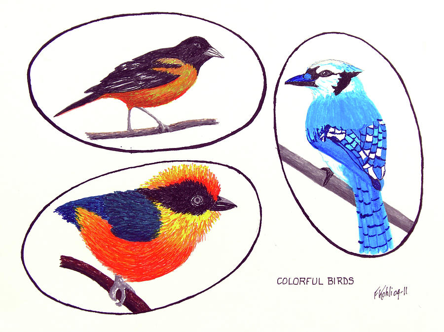 900x673 Colorful Birds Drawing