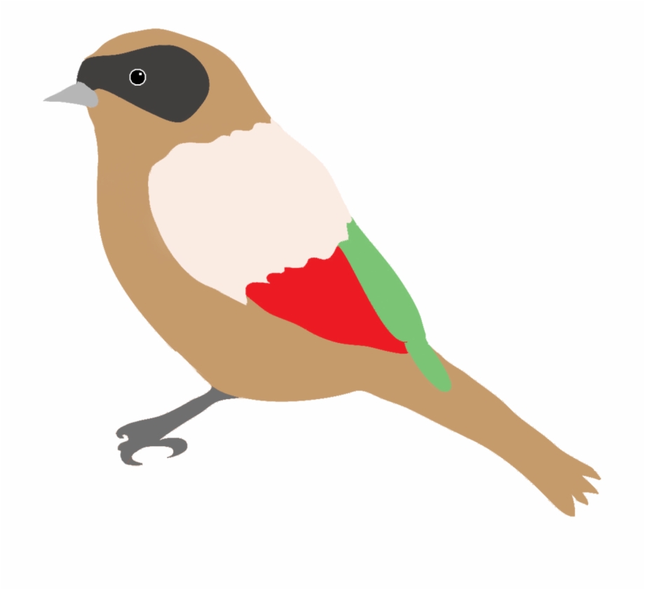 920x841 Dompaplike Bird With Colors