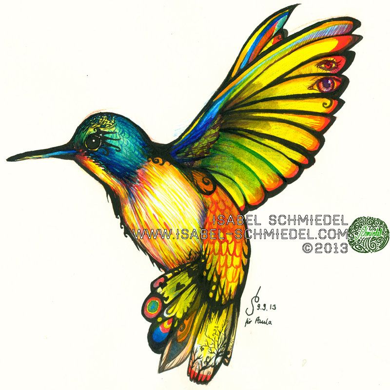 800x800 hummingbirds colibris in bird