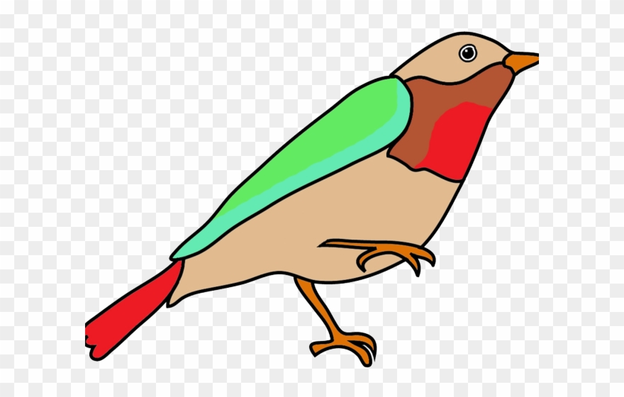 880x560 Sketch Clipart Bird
