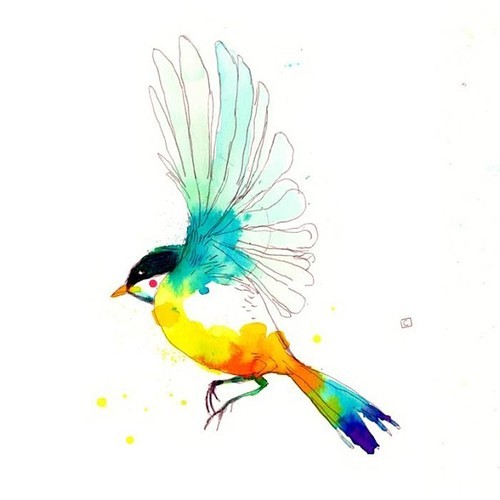 500x500 Art Draw Blue Watercolor Colorful Bird Yellow Paint