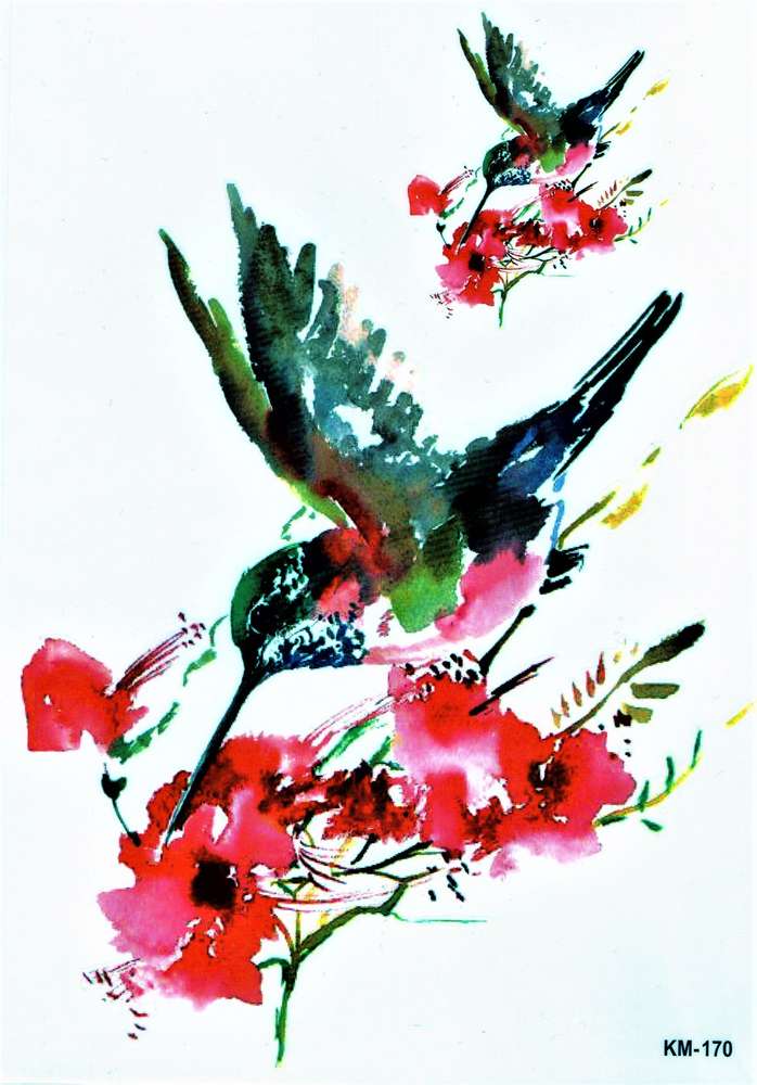 698x1000 Bird Colorful Drawing Coloured
