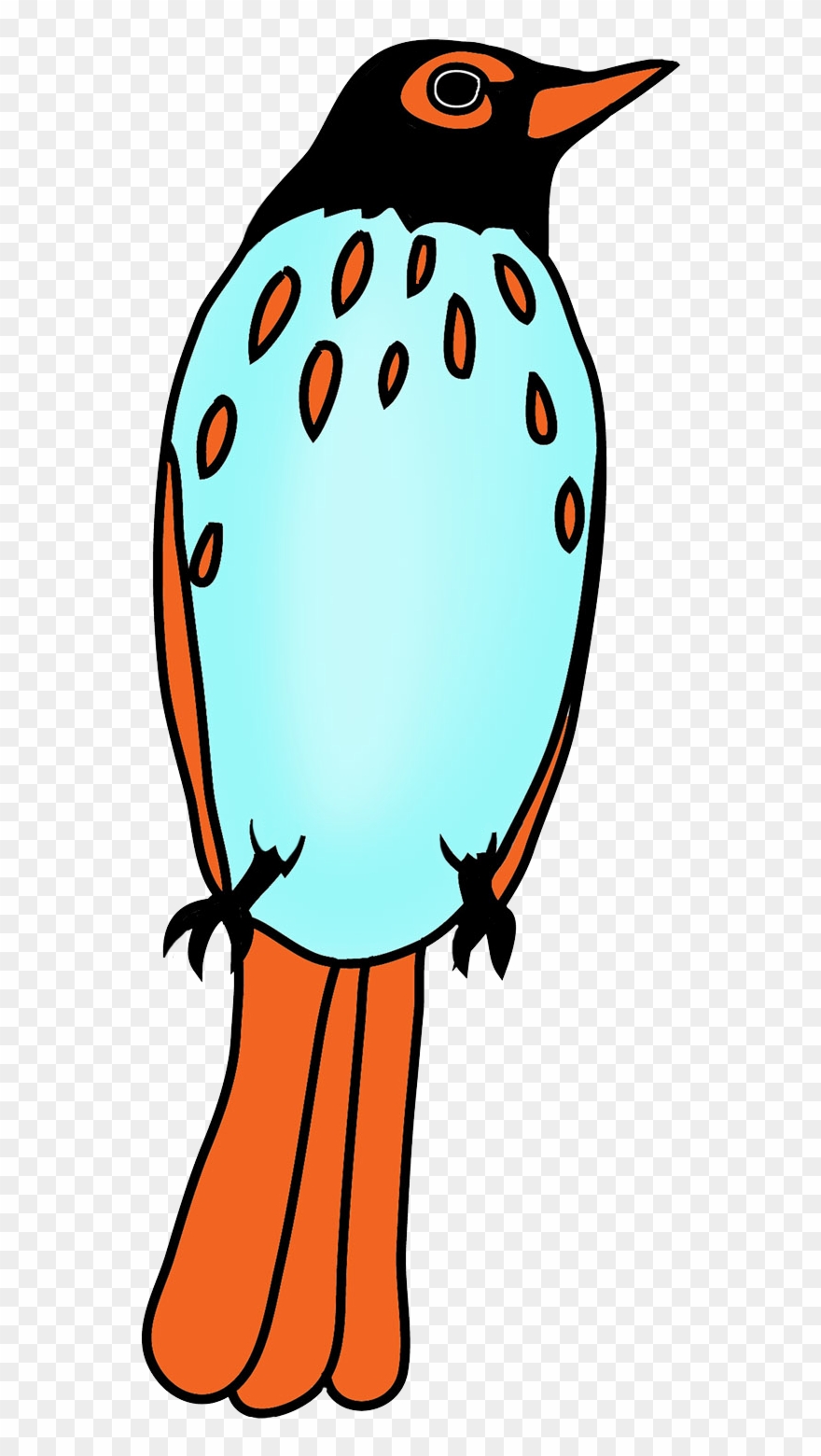 880x1560 Bird Drawing With Many Colors