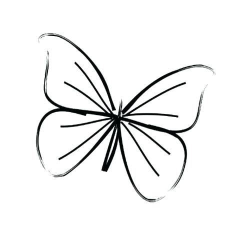 500x482 Butterfly Pictures To Draw Colorful Butterfly Drawing Pictures