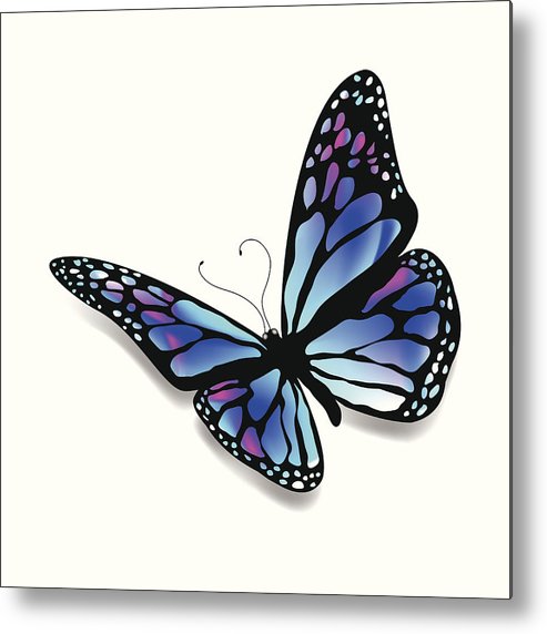 493x572 Colorful Butterfly Metal Print