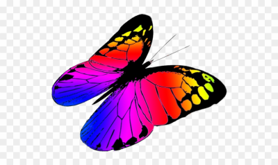 400x238 Download Free Png Free Butterflies Drawing, Free Butterfly Clipart