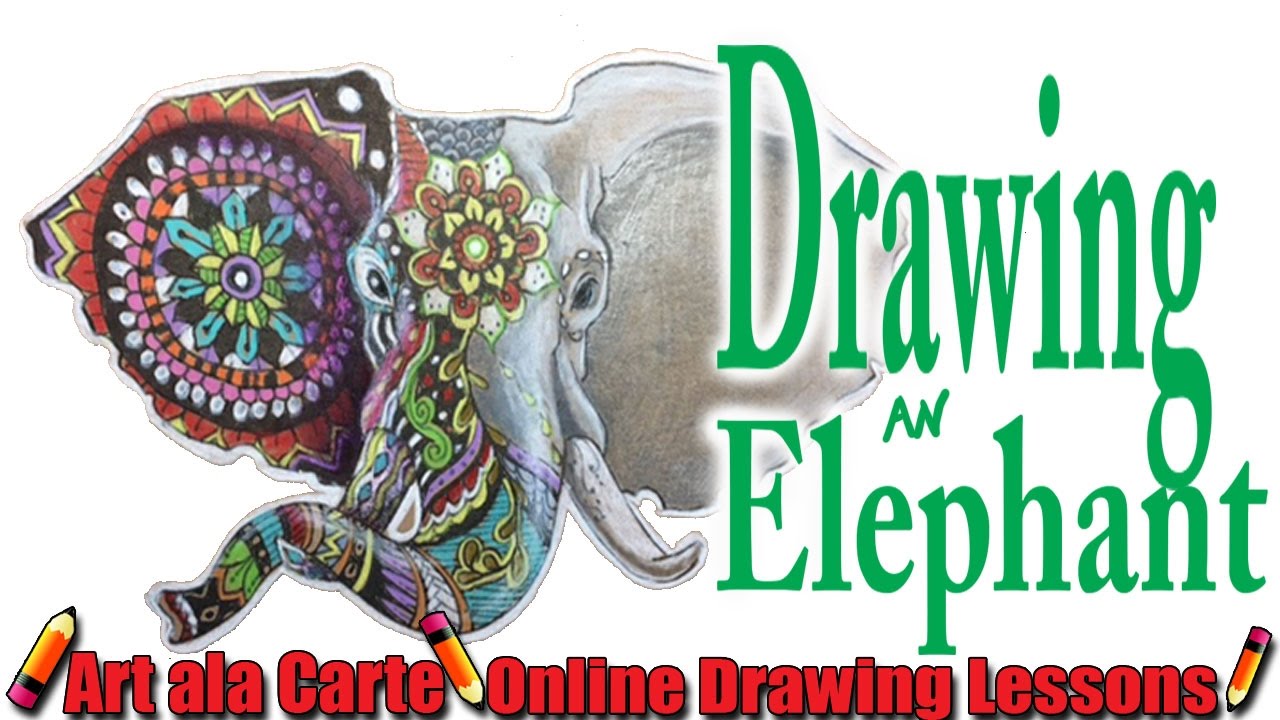 1280x720 How To Draw An Elephant Head