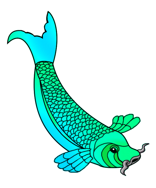 530x636 Colorful Koi Fish Drawings