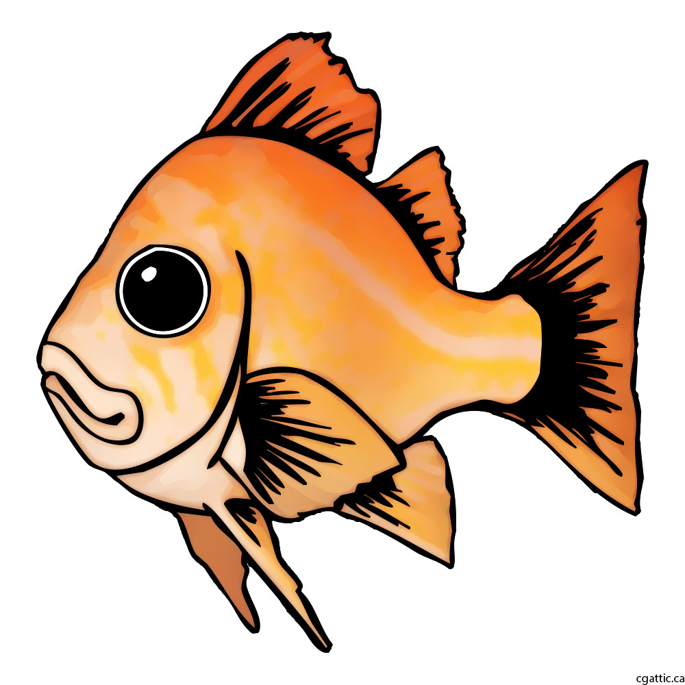 1000x1000 Fish Cartoon Drawing In Steps With Photoshop