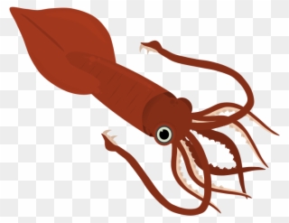 320x247 Colossal Squid Misc Art