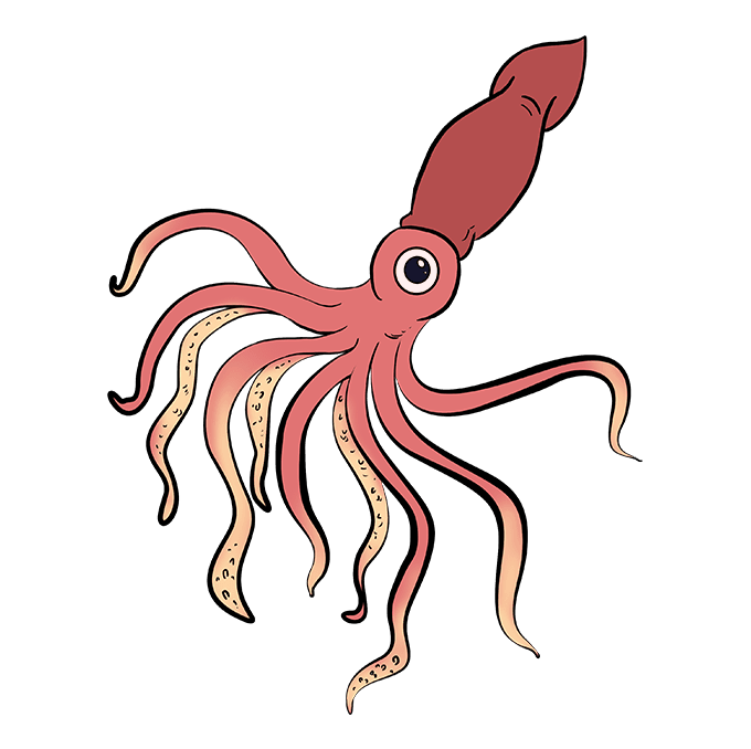 680x678 How To Draw A Squid