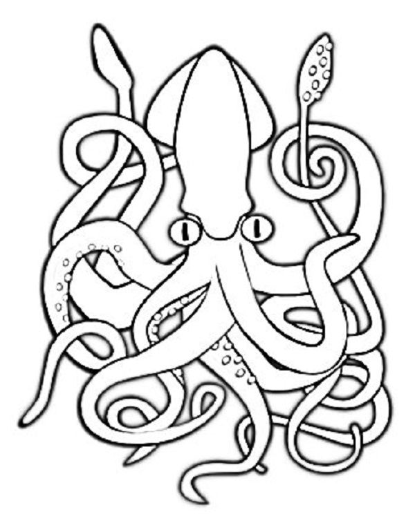 600x764 Coloring Pages Of Giant Squid Coloring Pages Coloring Pages