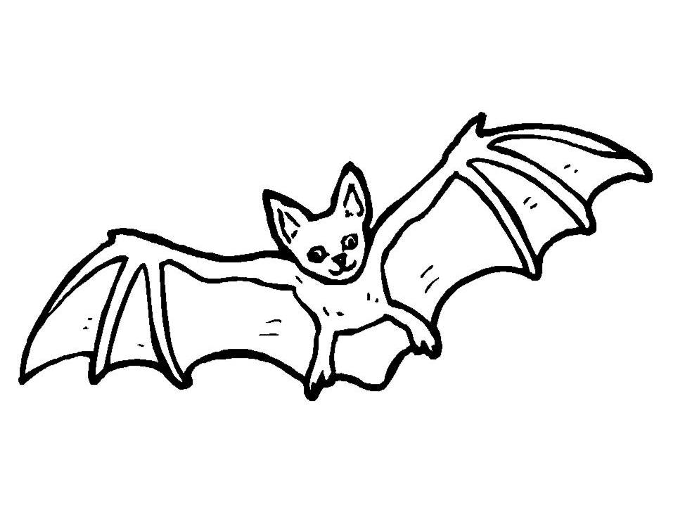 957x718 Collection Of Free Bat Clipart Colour Amusement Clipart Circus