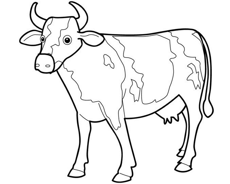 750x600 Cute And Beautiful Cow Colour Drawing Hd Wallpaper Dibujos Para