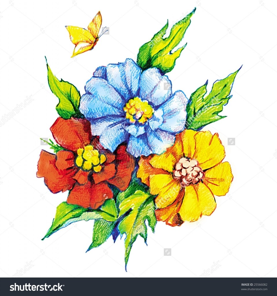 958x1024 Draw Flowers With Colored Pencils