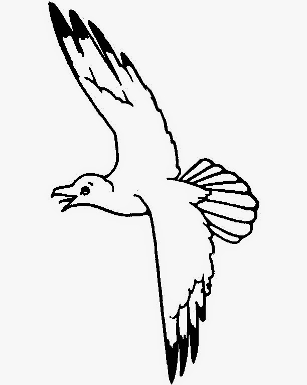 612x767 Seagull Cartoon Drawing At Getdrawings Free For Personal Use