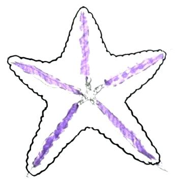 350x352 Starfish Drawing Starfish Drawing