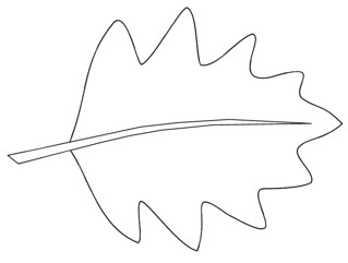 319x241 Leaf Sketch Clipart To Colour, Cm Long This Clipart