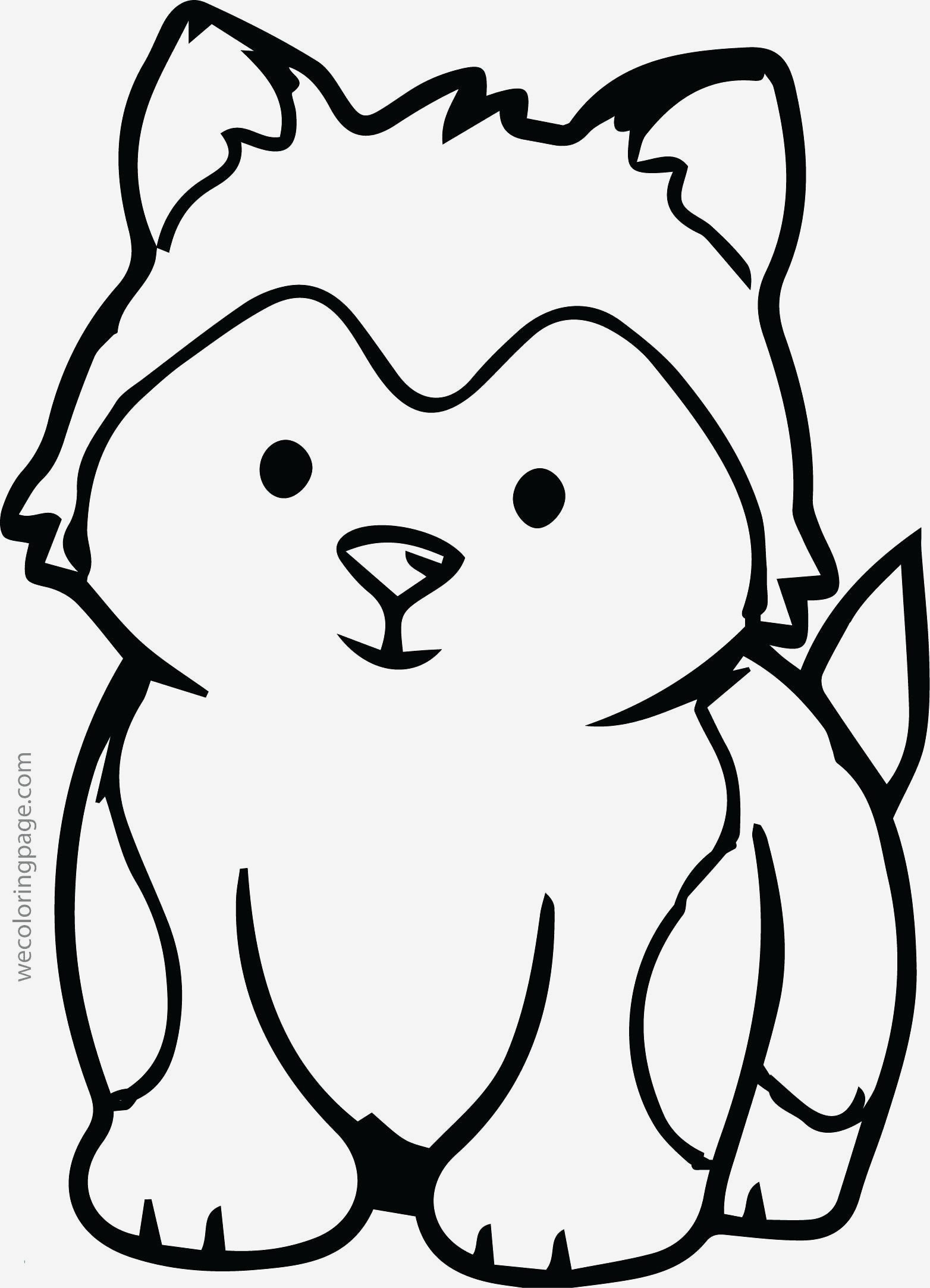 1564x2165 Fresh Sleeping Animals Coloring Pages