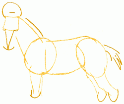 250x210 Exam Guide Online