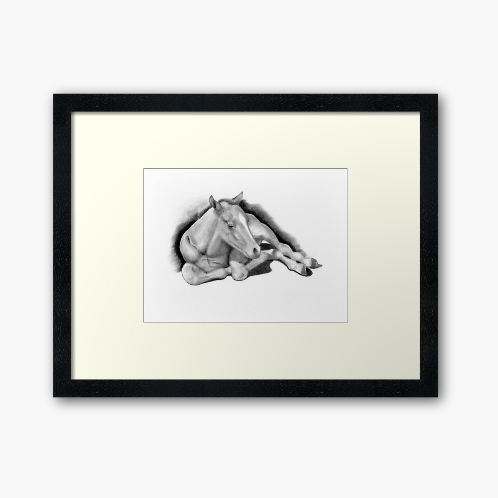 1000x1000 Long Legged Colt Lying Down, Pencil Drawing, Horse Framed Print