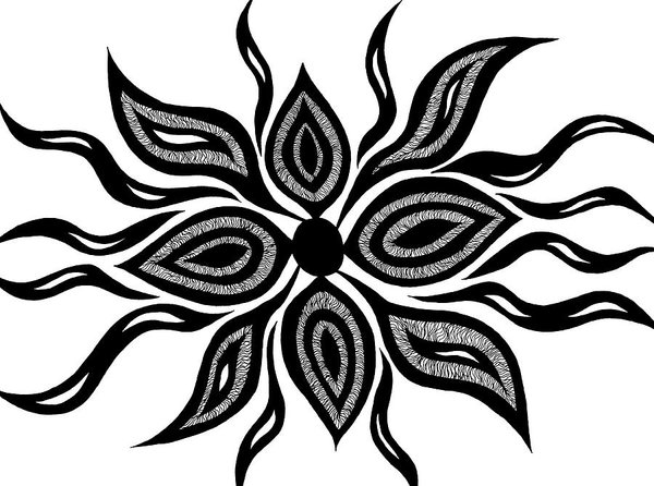 600x446 columbine flower drawings fine art america