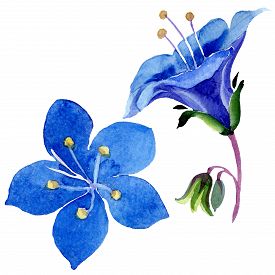 275x275 Drawing Green Leaves Photos And Images