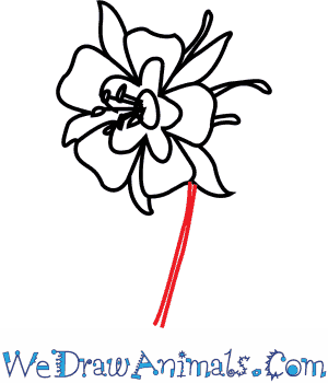 300x350 how to draw a columbine flower