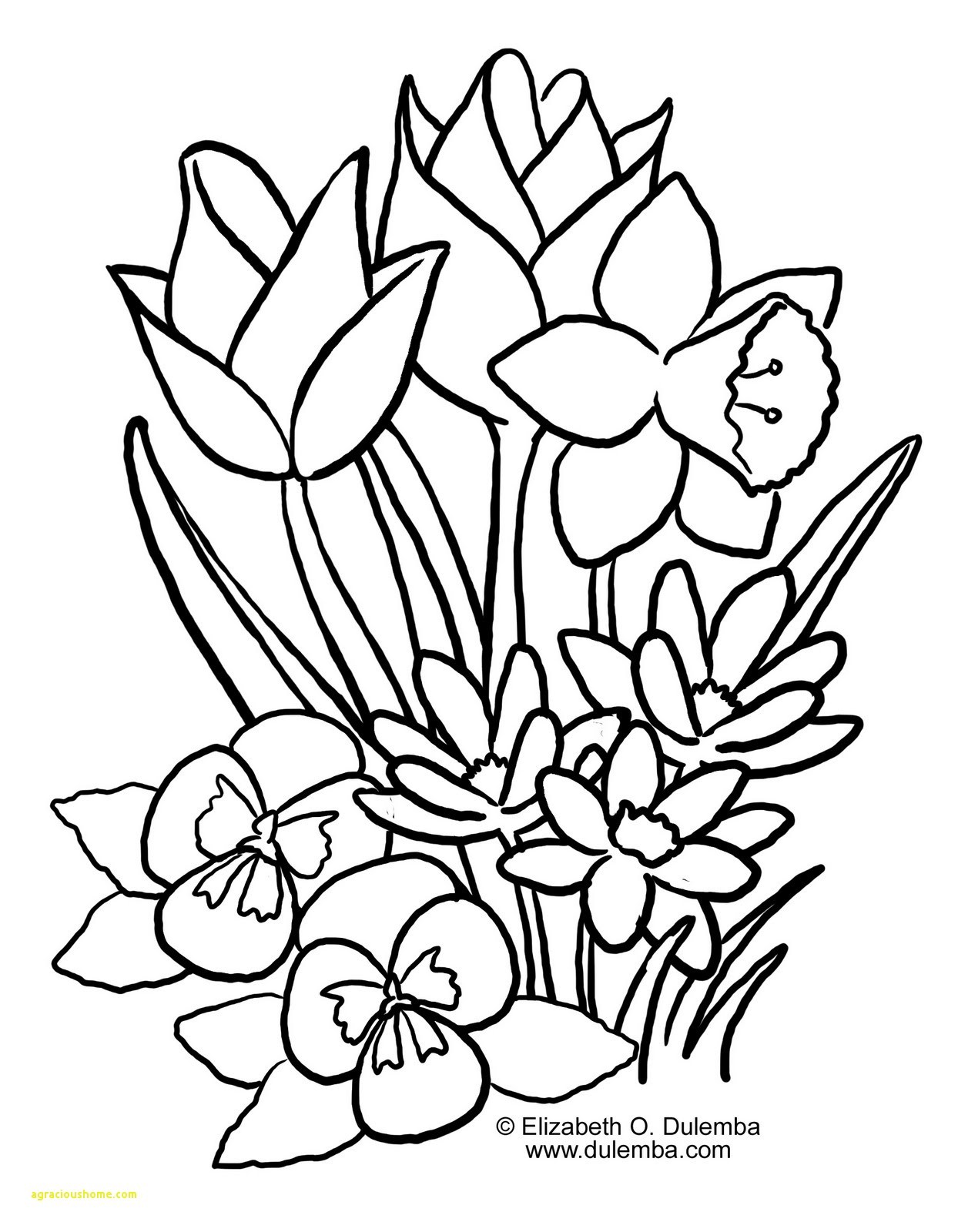 1244x1600 rocky mountain columbine coloring pages luxury flowers that start