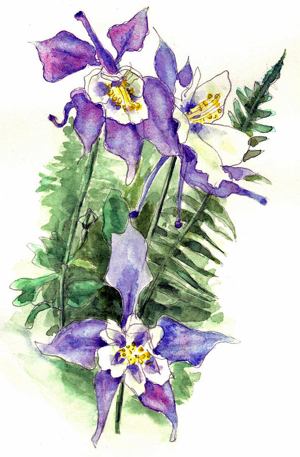 591x900 Collection Of Free Columbin Clipart Flowersclip Download On Ui Ex