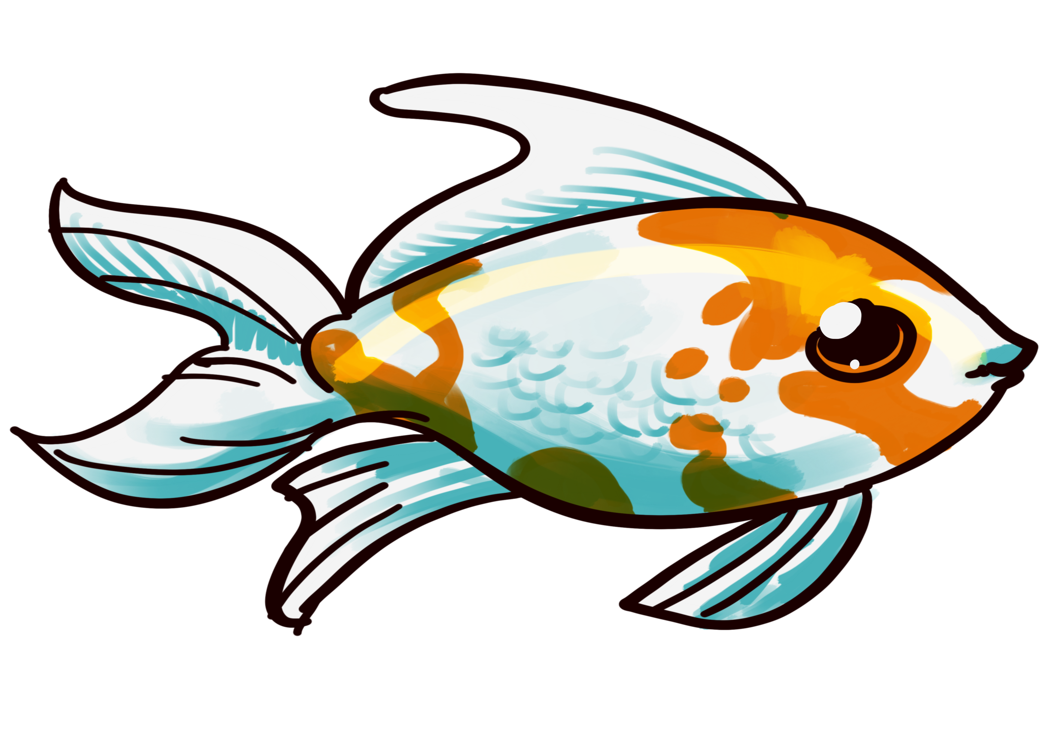 3508x2480 Collection Of Free Goldfish Drawing Comet Download On Ui Ex