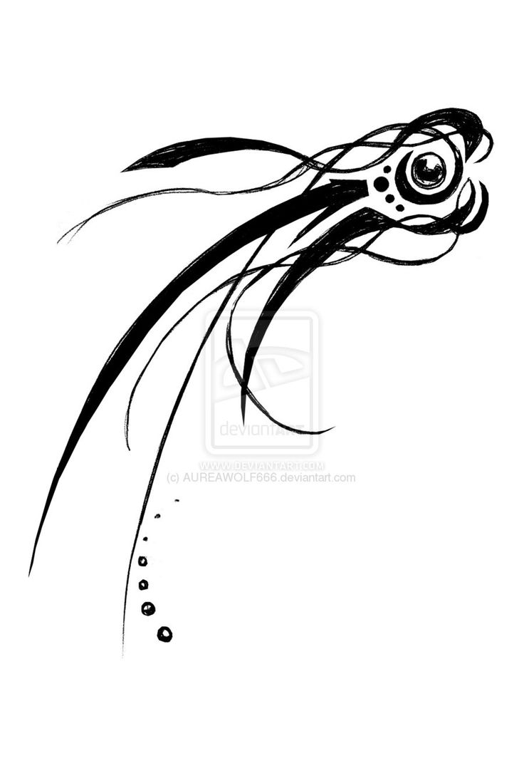 736x1099 Comet Drawing Cool For Free Download