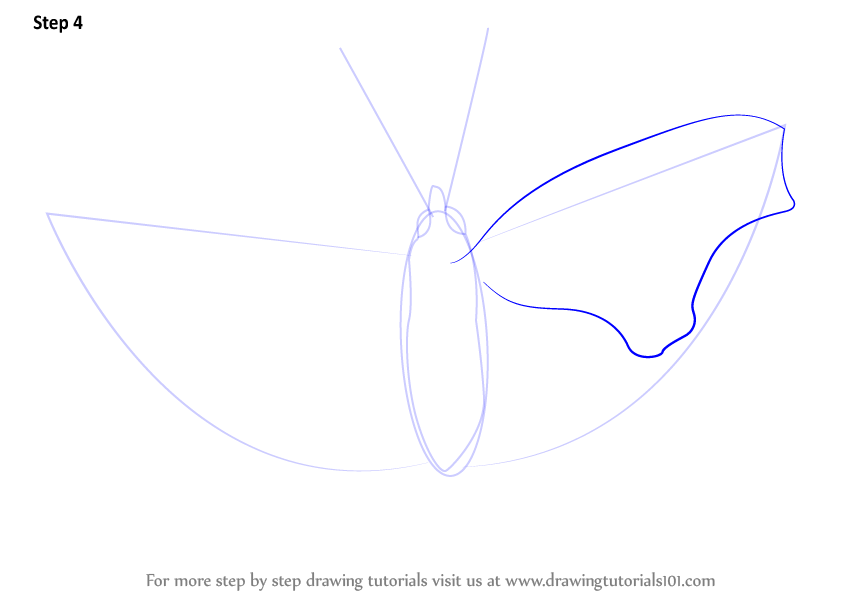 845x600 learn how to draw a eastern comma