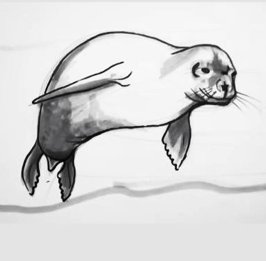 382x375 How To Draw A Seal