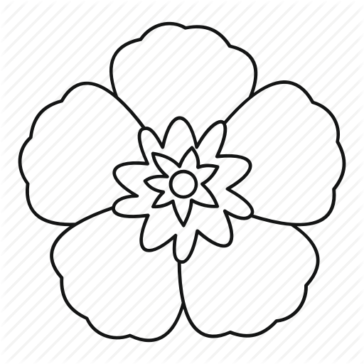 512x512 Rose, Illustration, Drawing, Transparent Png Image Clipart Free